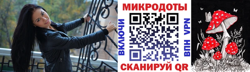 где продают Грязи Галлюциногенные грибы Psilocybine cubensis