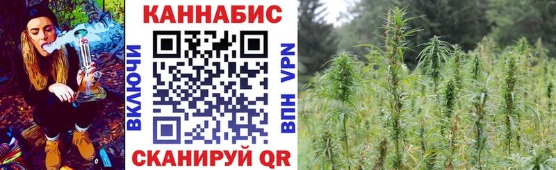 Бошки Шишки планчик  где найти   Грязи 